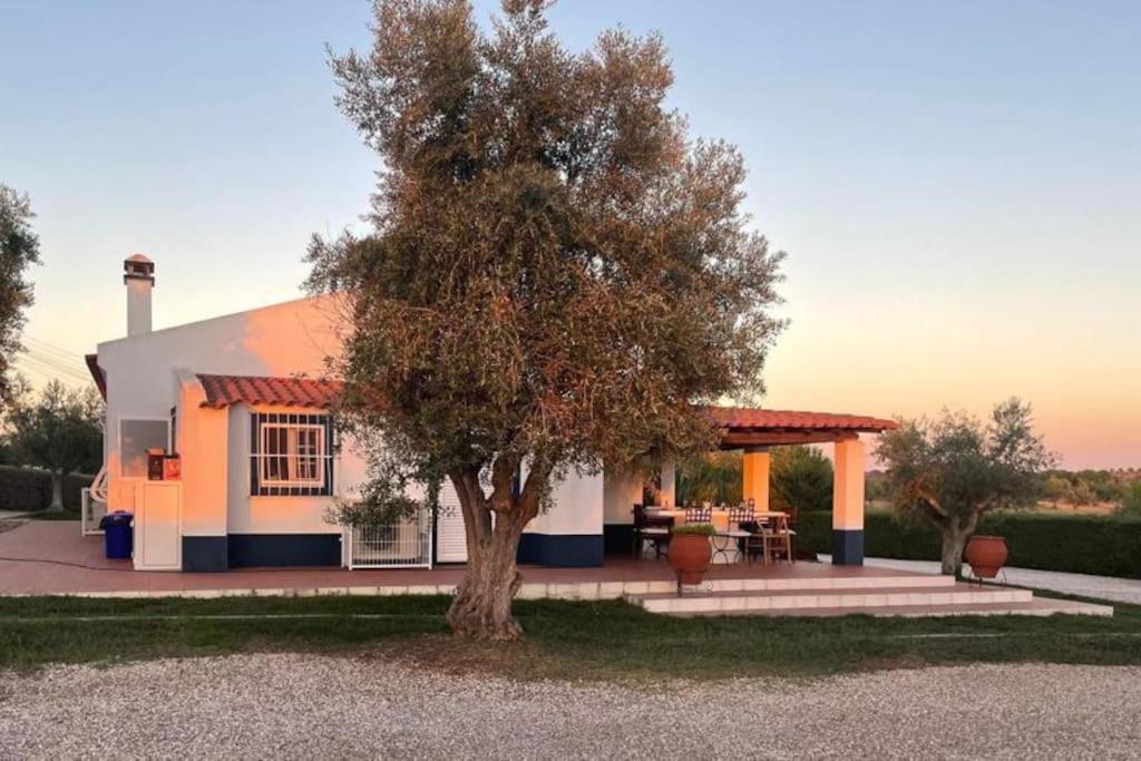 Casa Das Oliveiras Aviz Zewnętrze zdjęcie