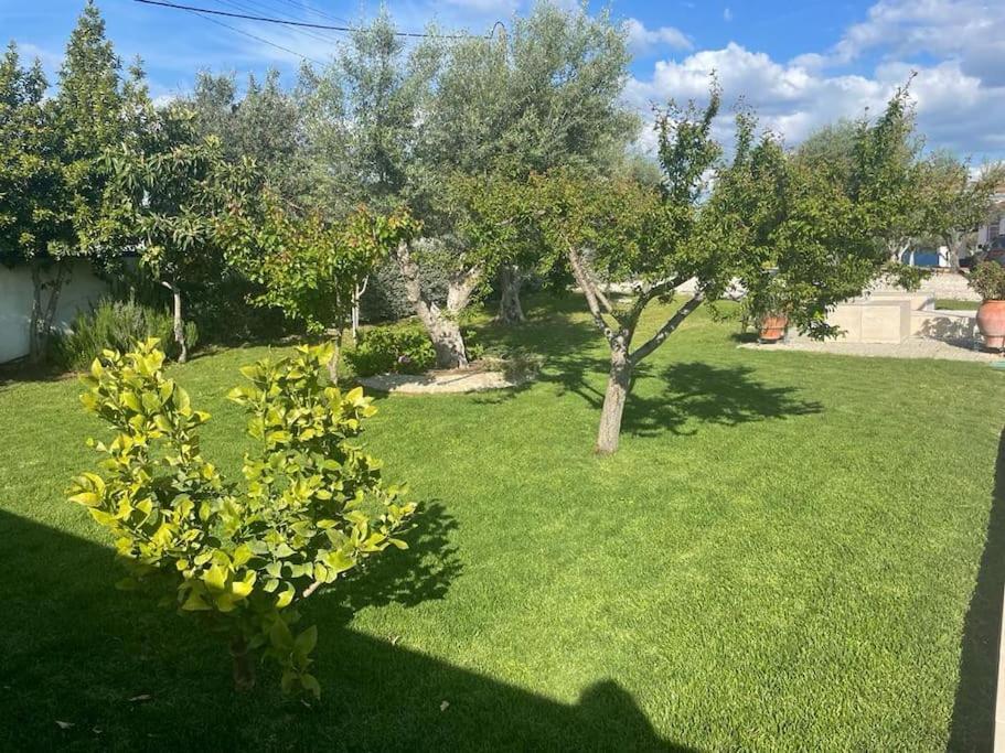 Casa Das Oliveiras Aviz Zewnętrze zdjęcie