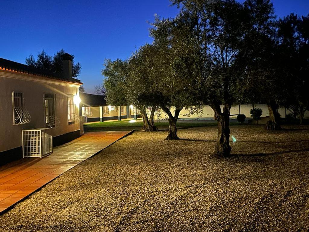 Casa Das Oliveiras Aviz Zewnętrze zdjęcie